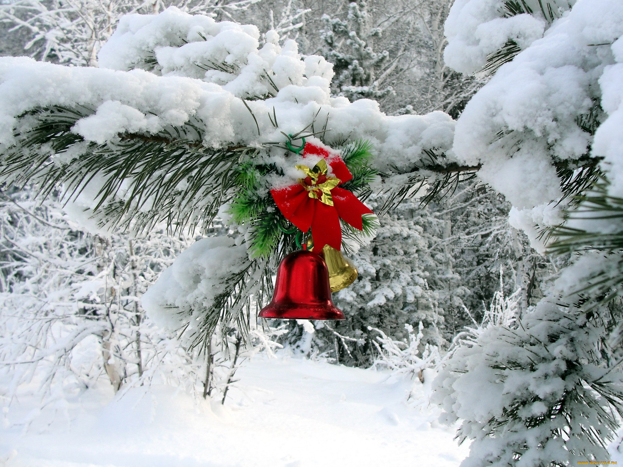 Зимний колокольчик. Колокольчики в снегу. Колокола в снегу. Колокольчик зимой. Новогодний колокольчик в снегу.